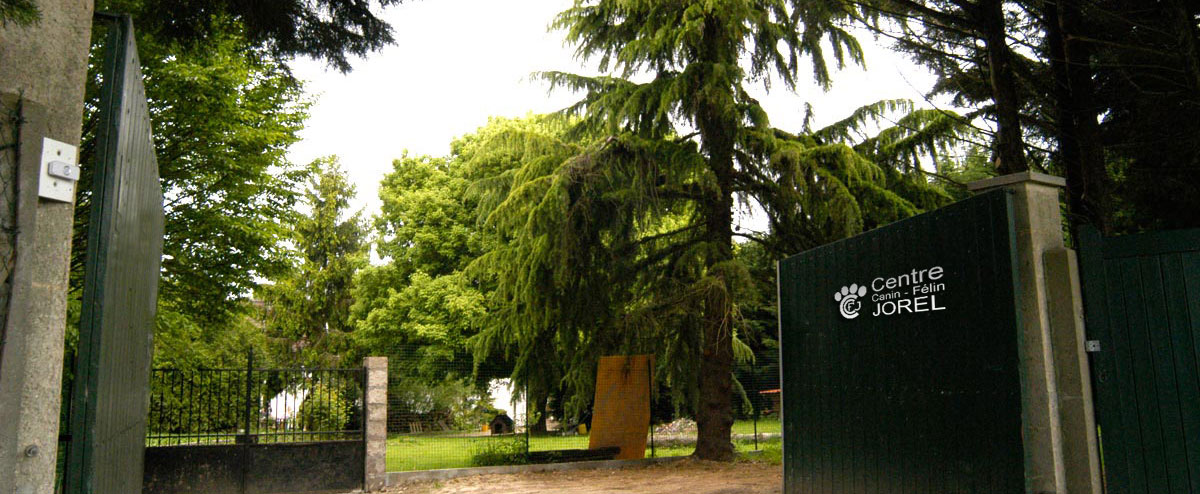 Pension chien 78 JOREL