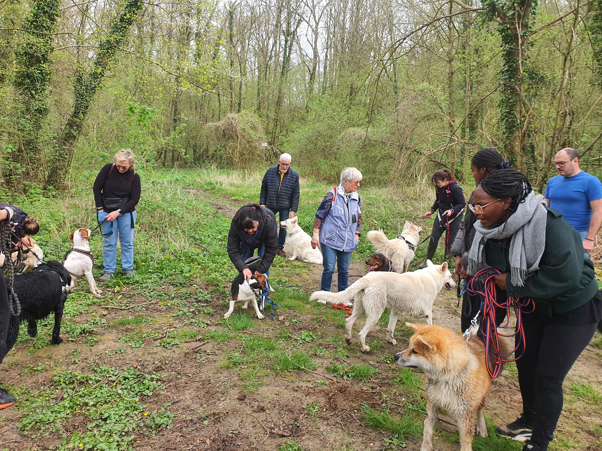 Pension chien 78 JOREL — photo