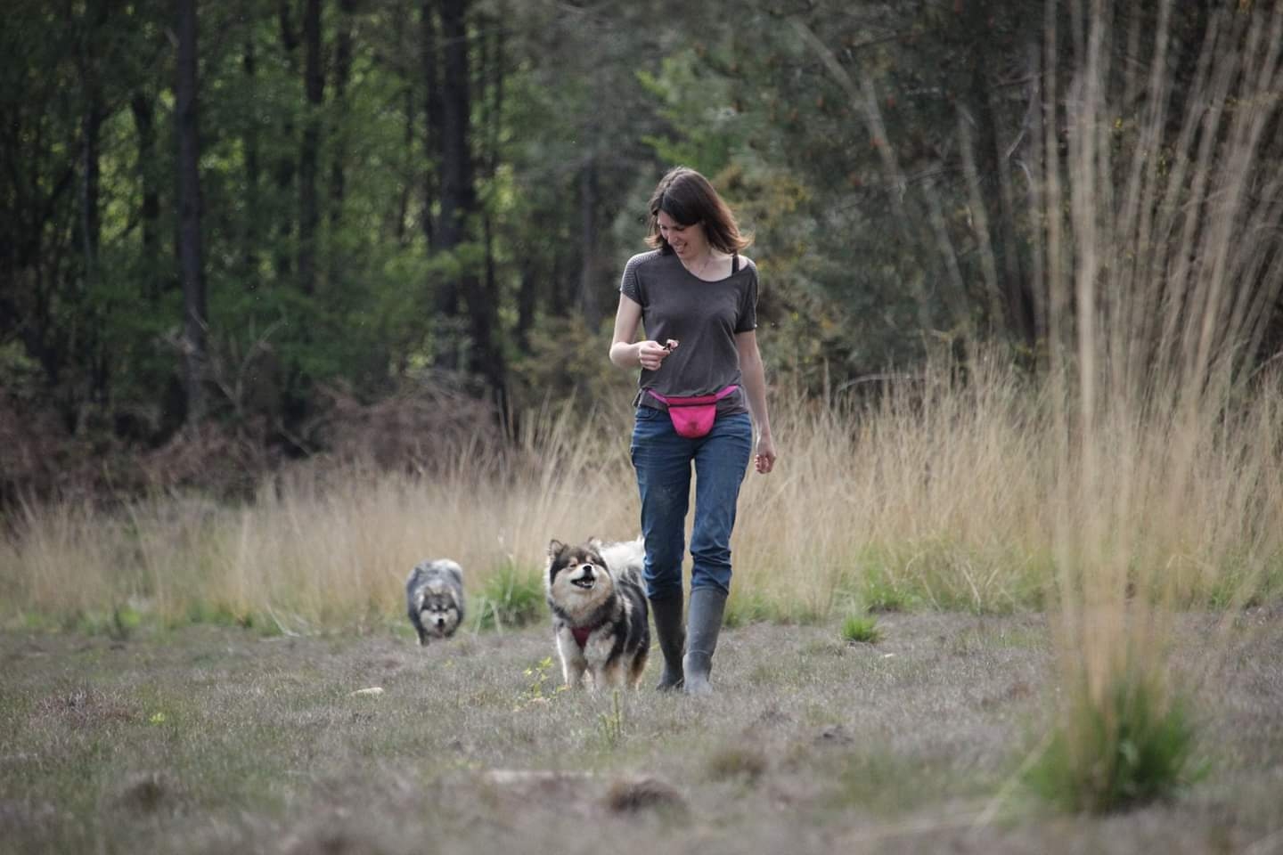 Happy Dogs Therapy - Educateur, comportementaliste et masseur canin — photo