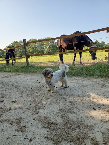 Le Logis des P'Tits Muz'Os