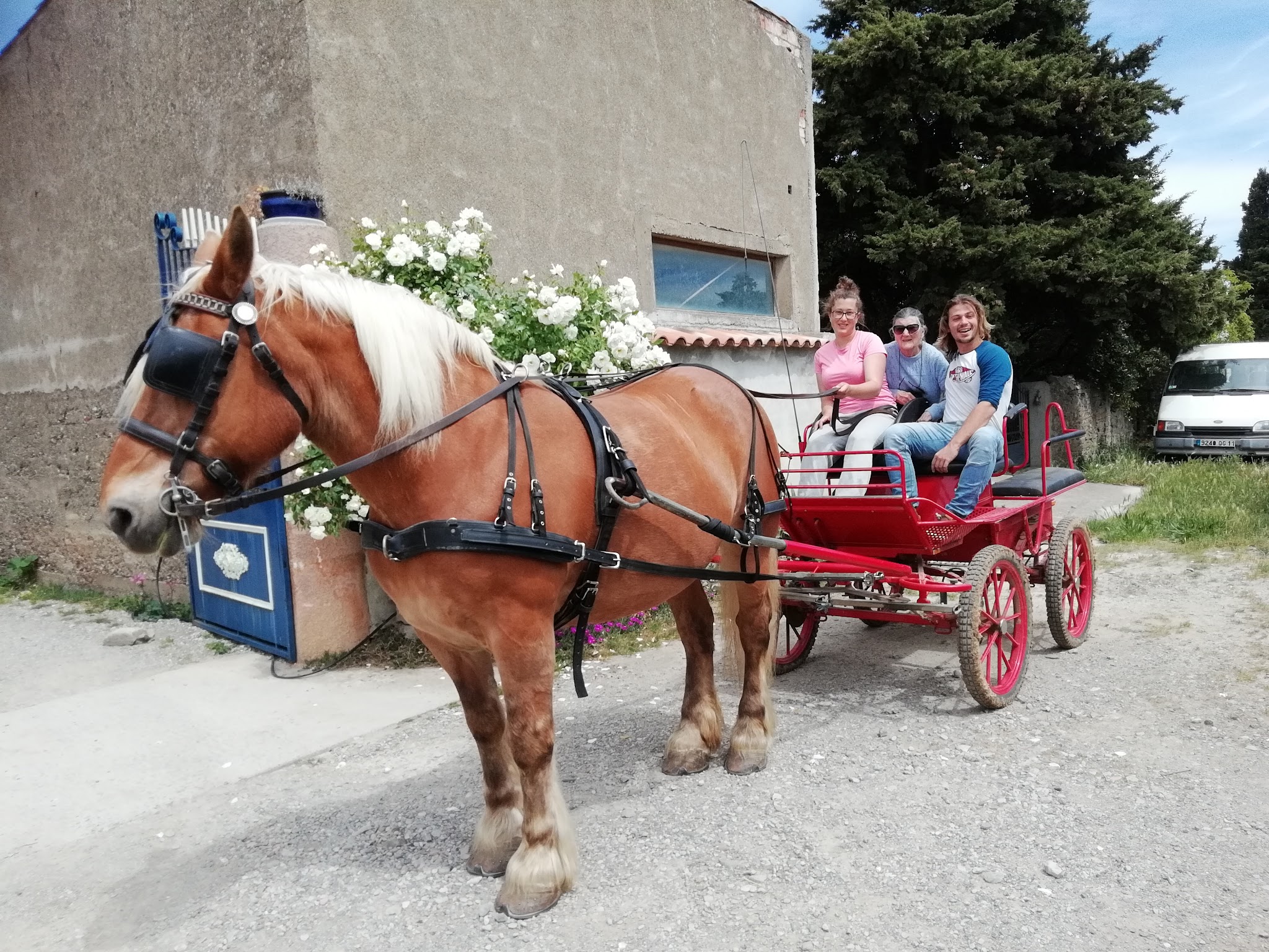 Amis pour la vie — photo
