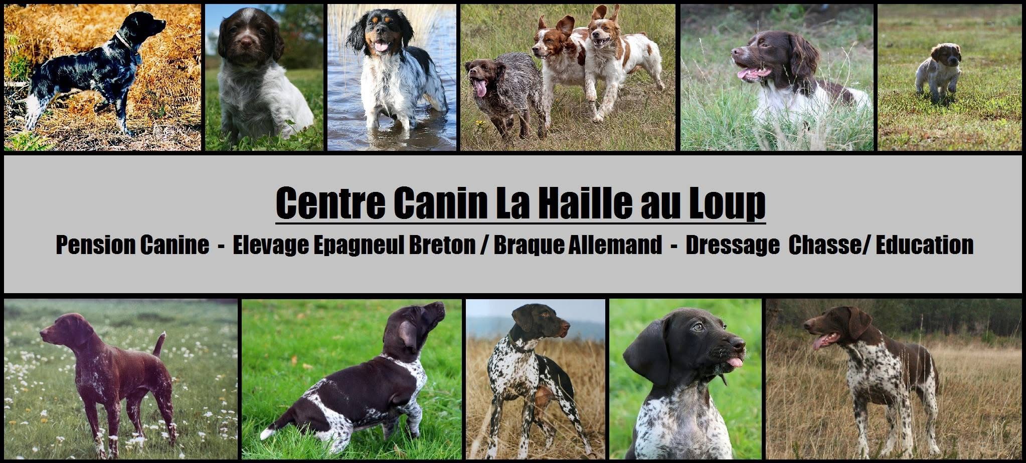 La Haille au Loup — photo
