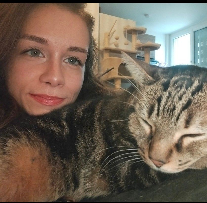 Au rythme des pattes