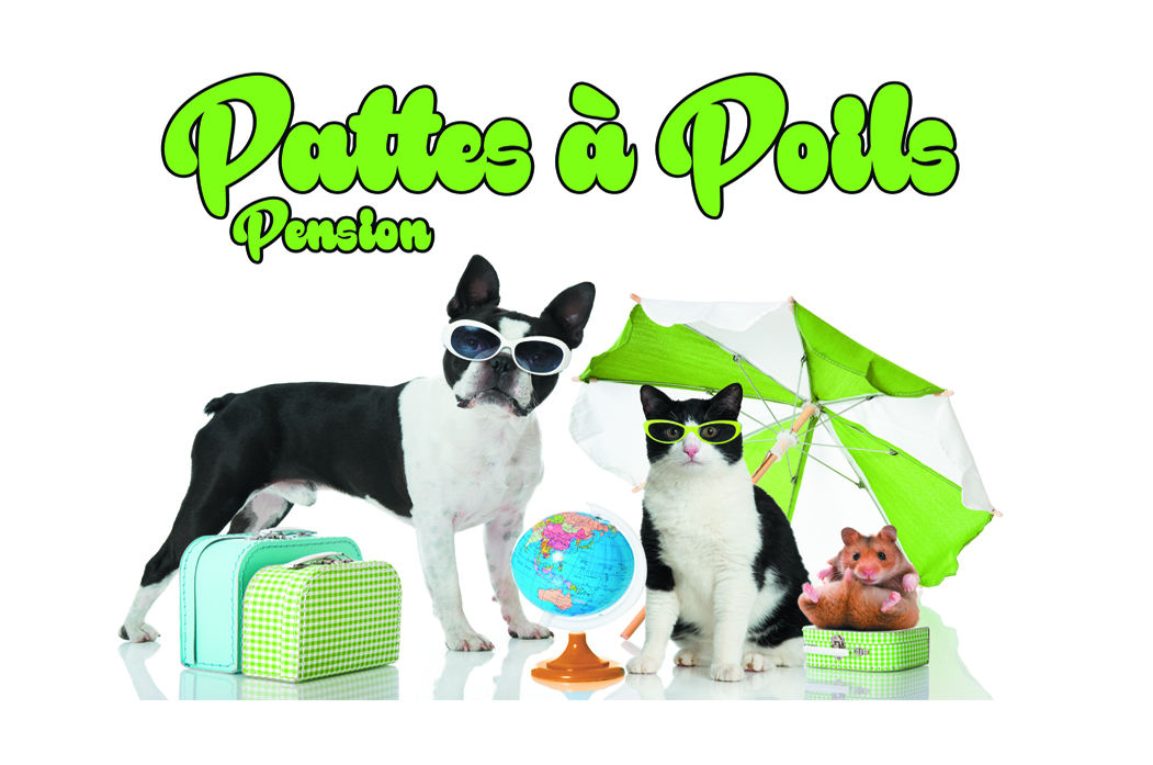 Pattes à poils — photo
