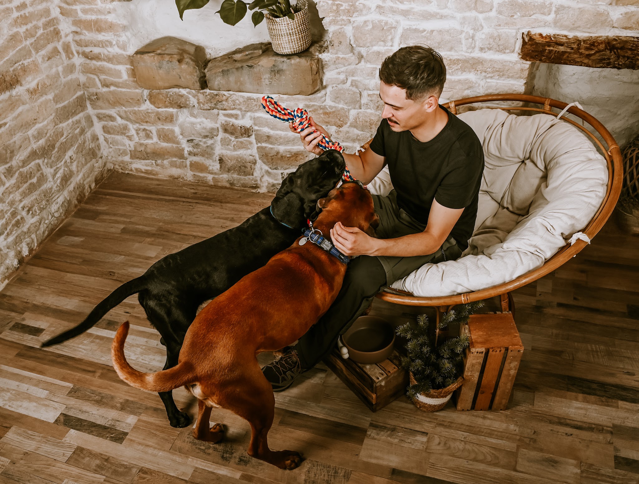 DogSun | Educateur canin Comportementaliste Nancy-Metz — photo
