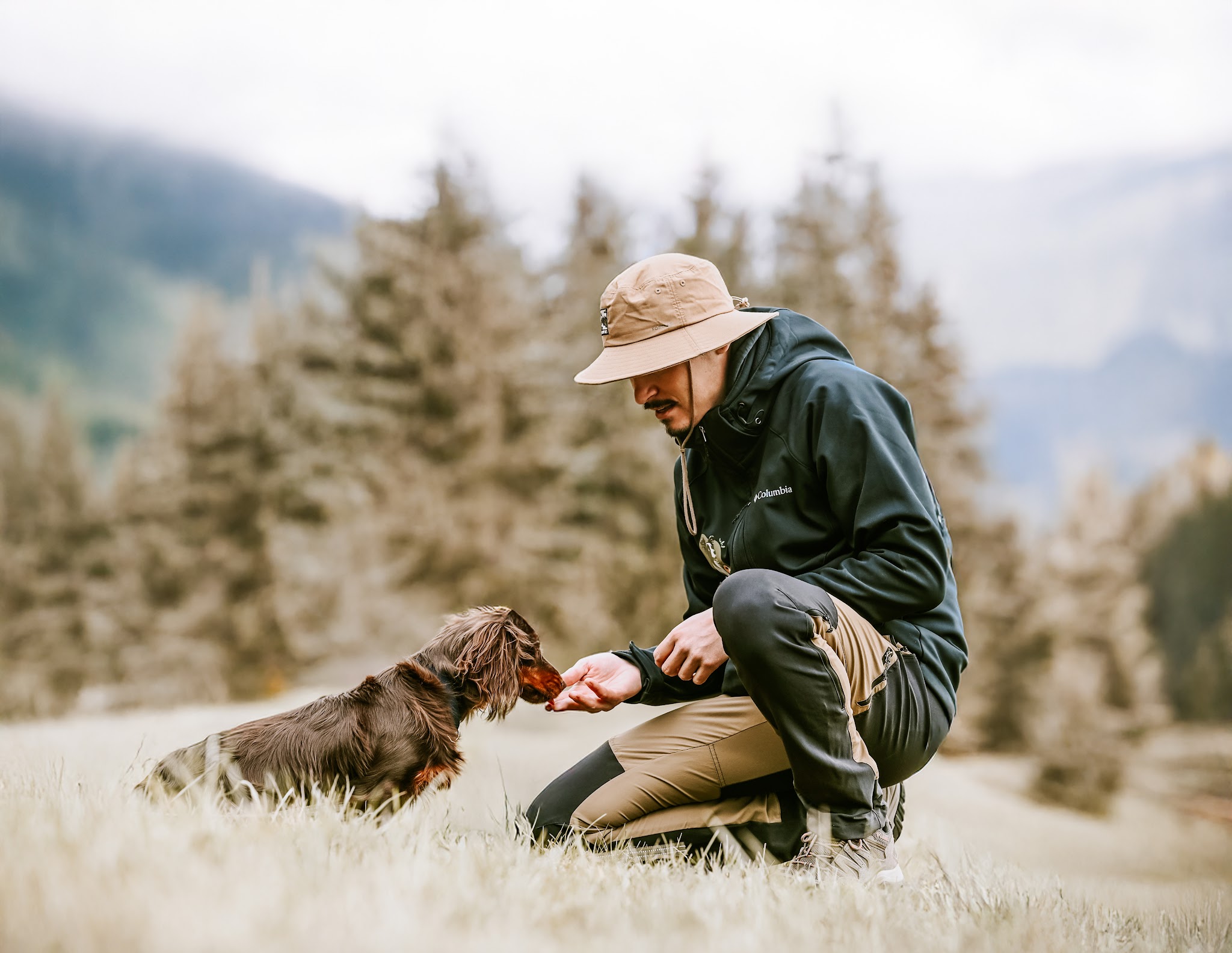DogSun | Educateur canin Comportementaliste Nancy-Metz