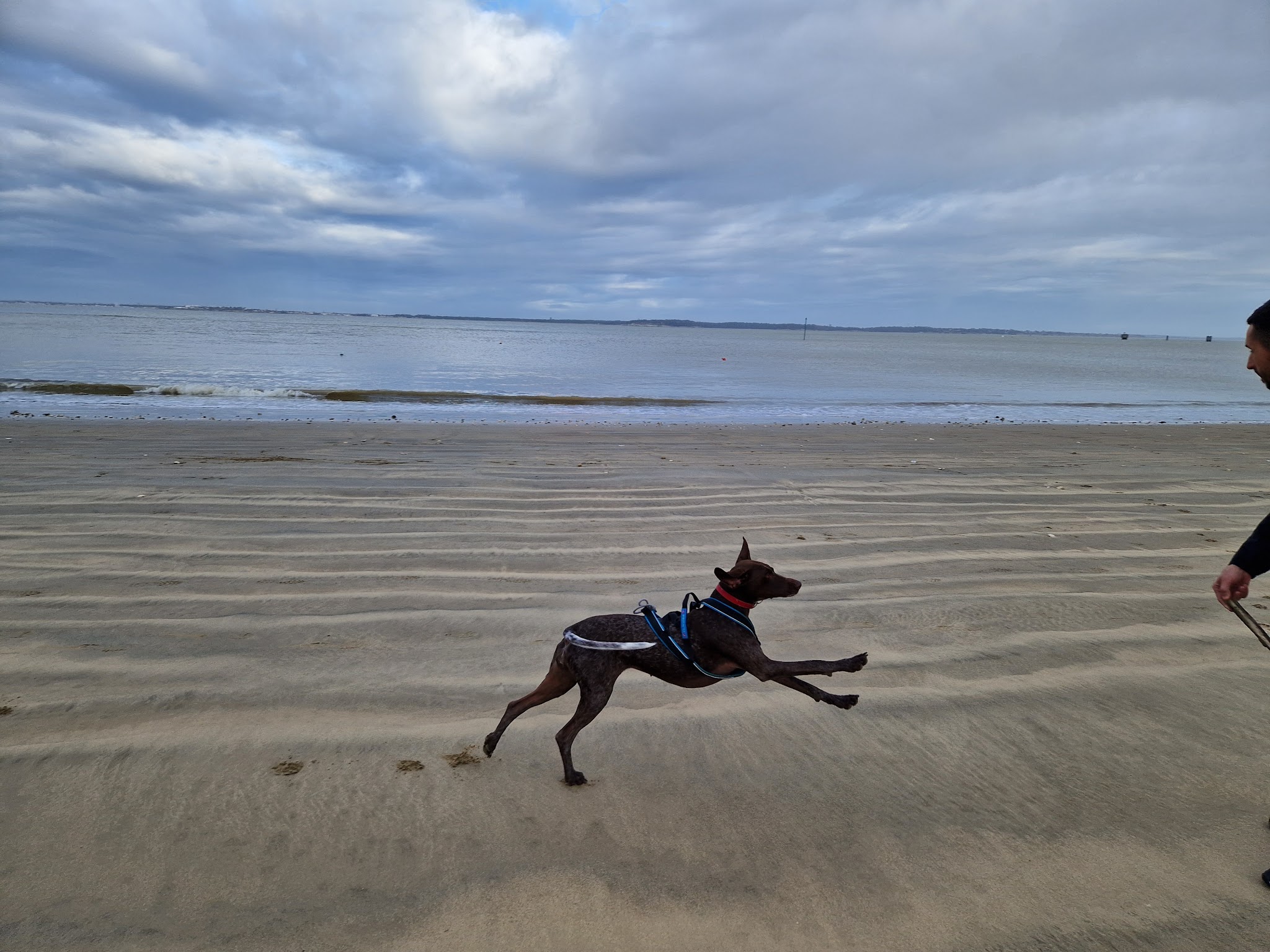 Pattes et Sérénité - Par Marjorie — photo