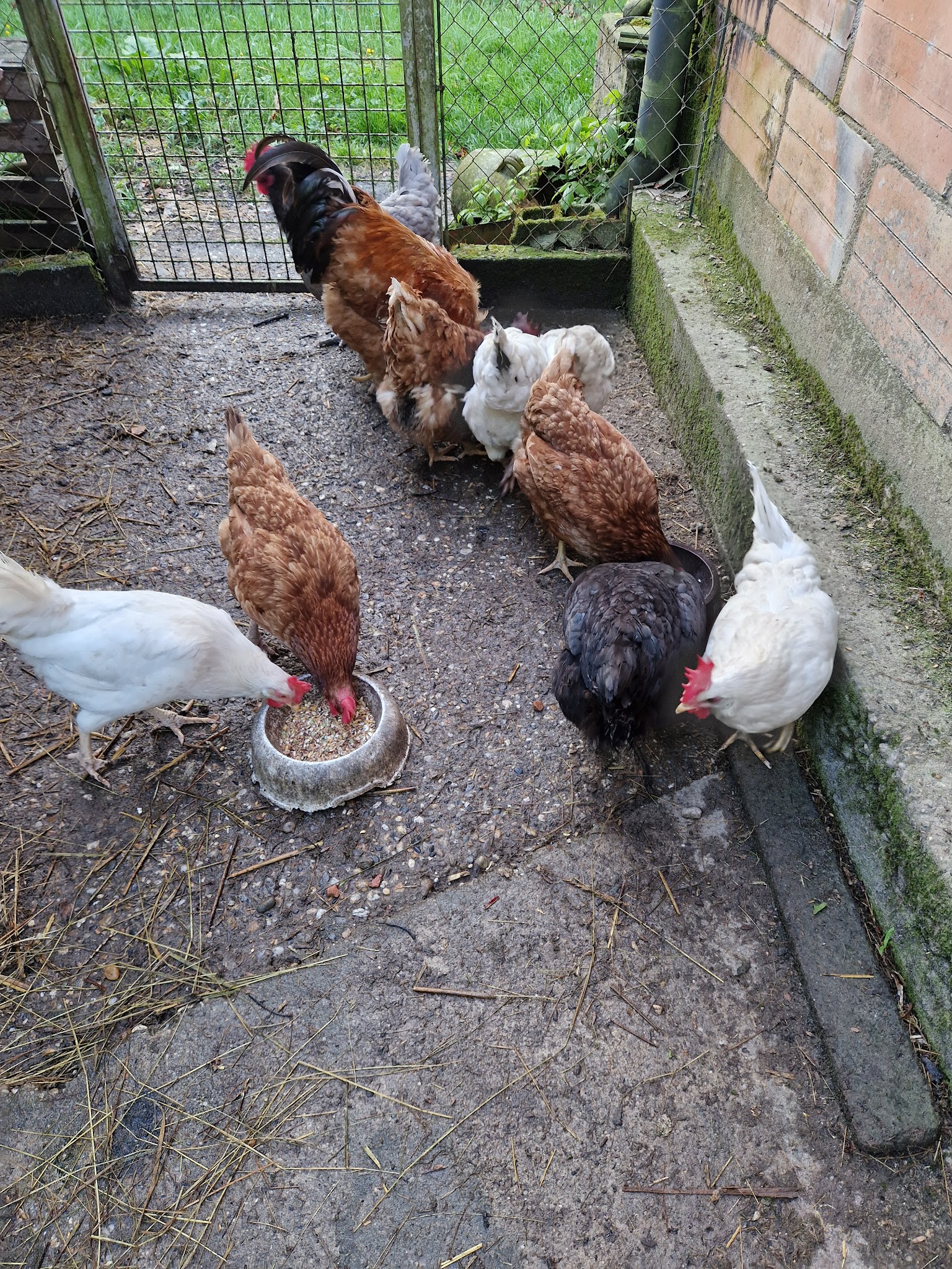 Pattes et Sérénité - Par Marjorie — photo