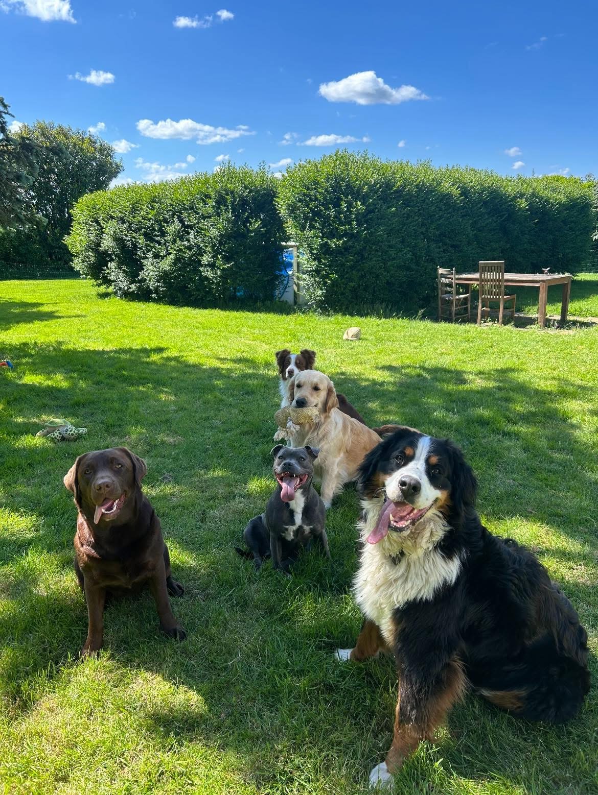 Pension canine familiale La Douceur d’Uska — photo