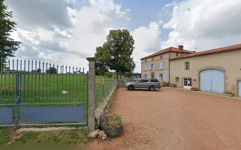 Les Aristochiens : pension chiens chats à Issoire