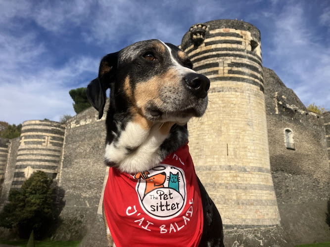 The Pet Sitter ANGERS - Promeneur de chien & Visite de chat