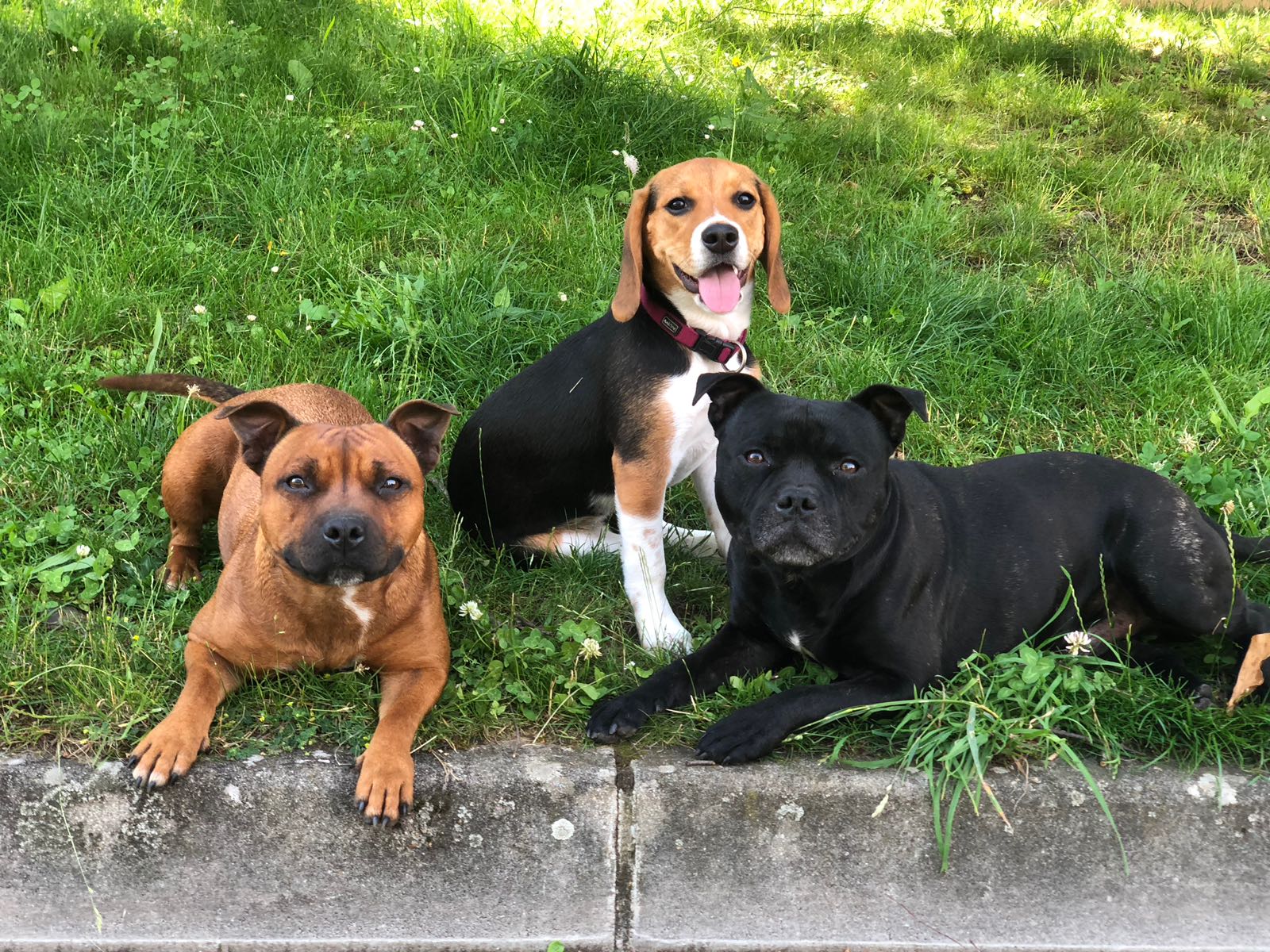 JaiNaOh Family — photo