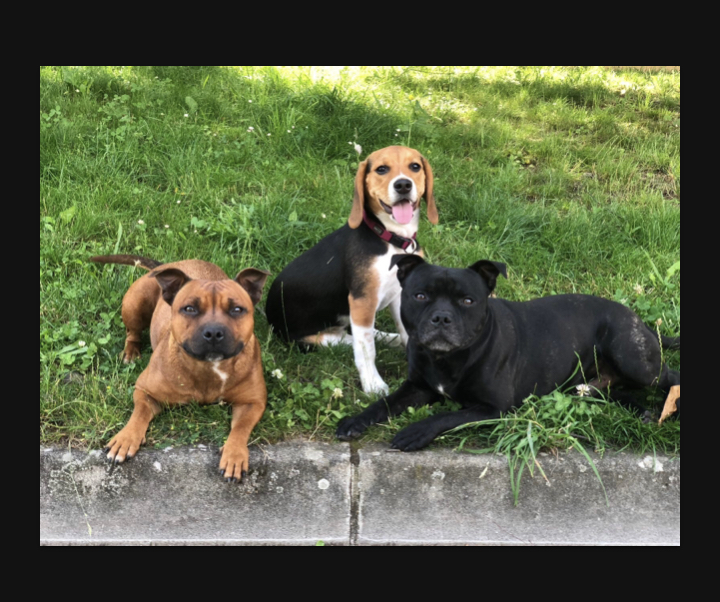 JaiNaOh Family — photo