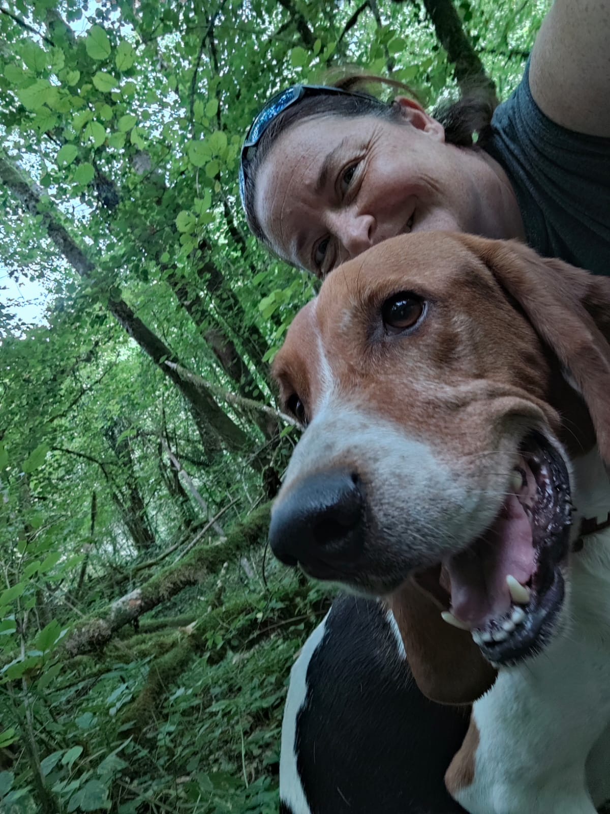 Dog y Cimes — photo