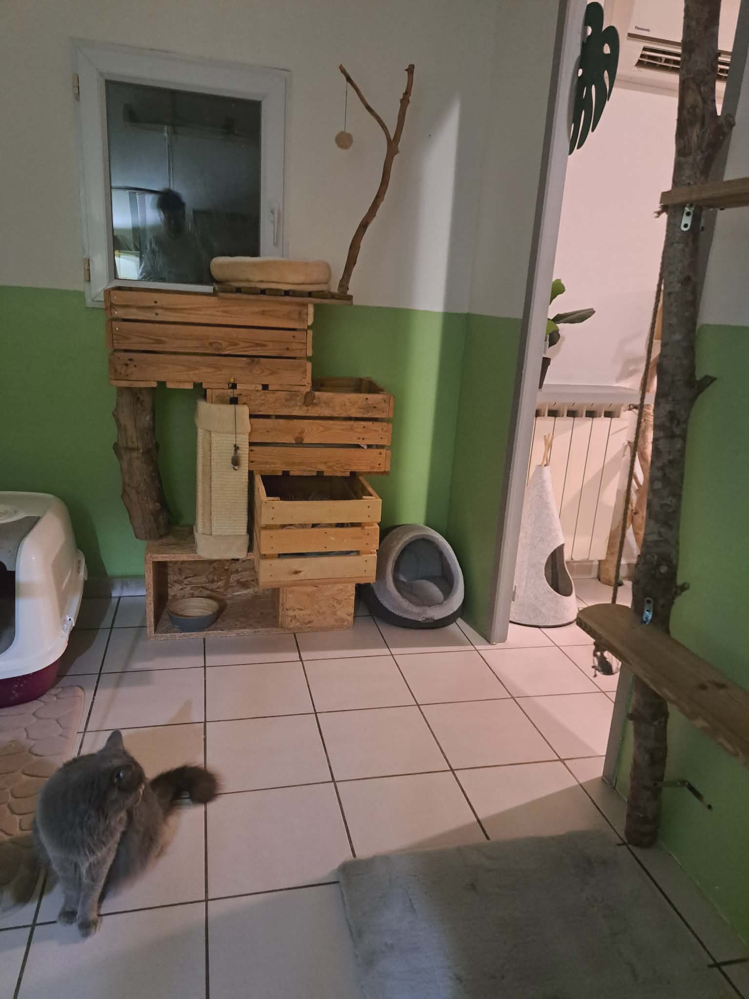 Pension Amour De Chiens — photo