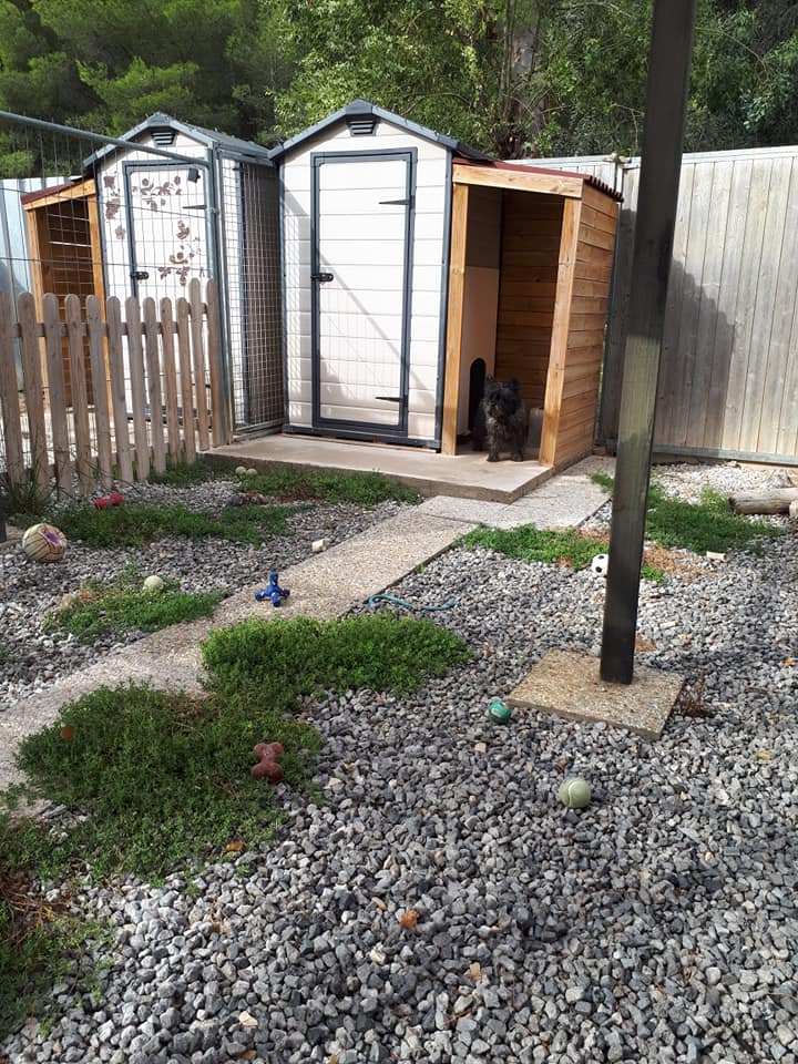 Pension Amour De Chiens — photo
