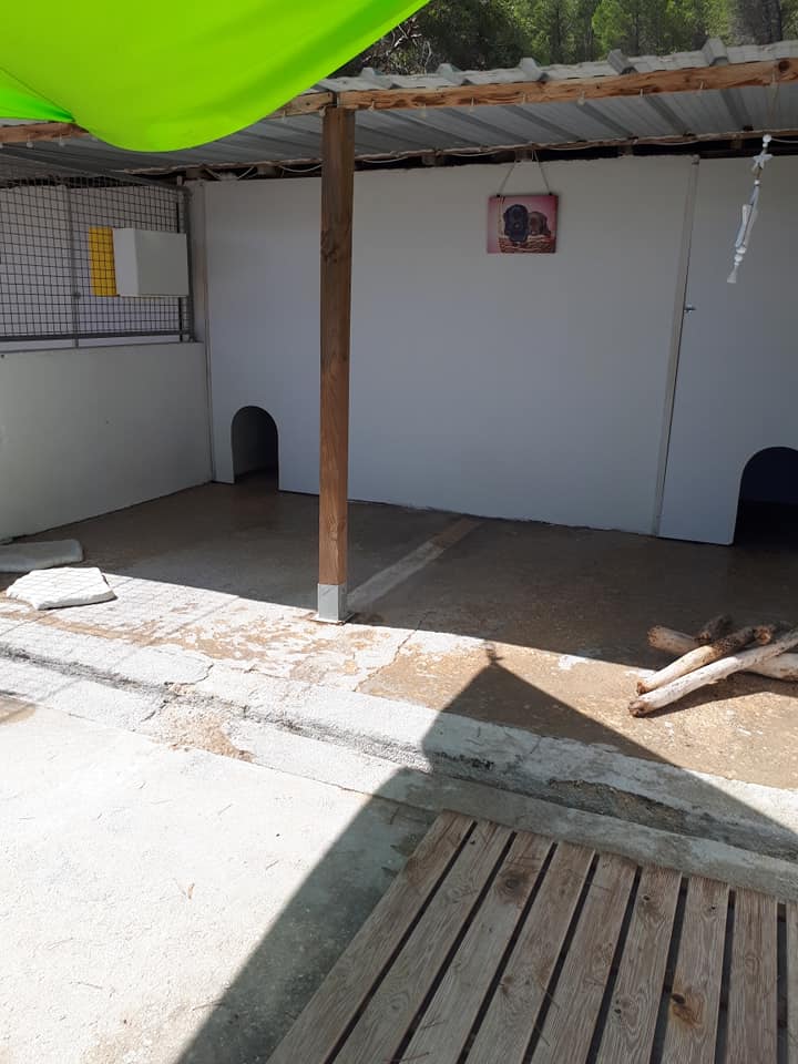 Pension Amour De Chiens — photo