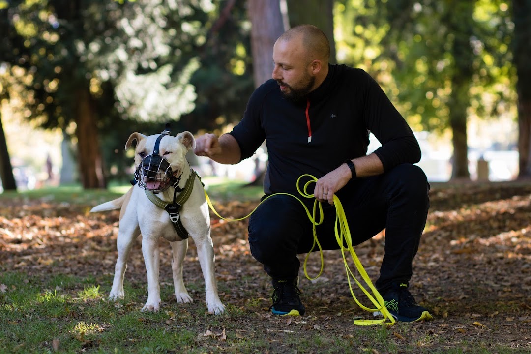 Frangy Educateur Canin