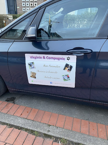 Virginie&Compagnie (Pet Sitter, Garde d'animaux, Toilettage canin)