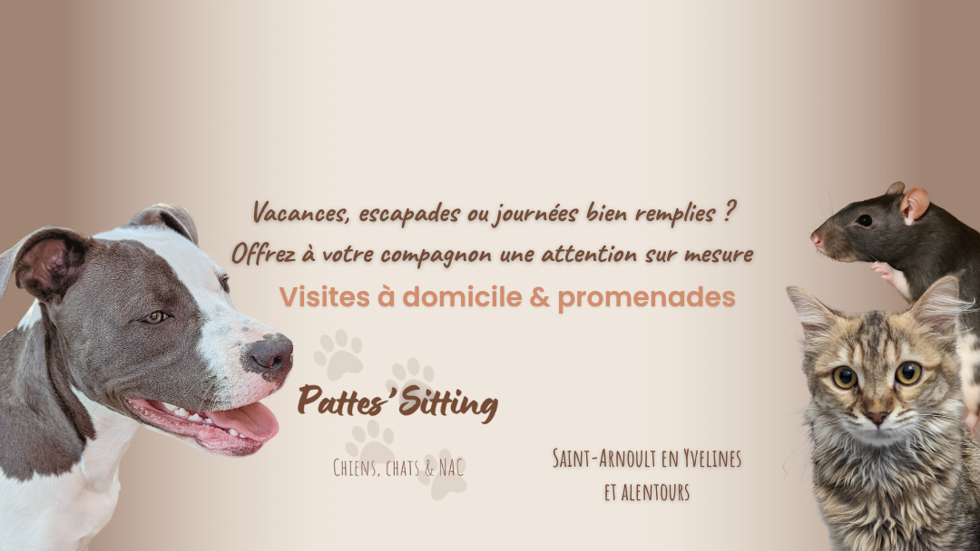 Pattes'Sitting