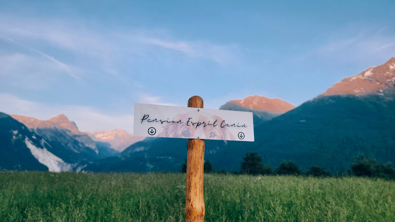 Pension Esprit Canin - Haute Maurienne Vanoise