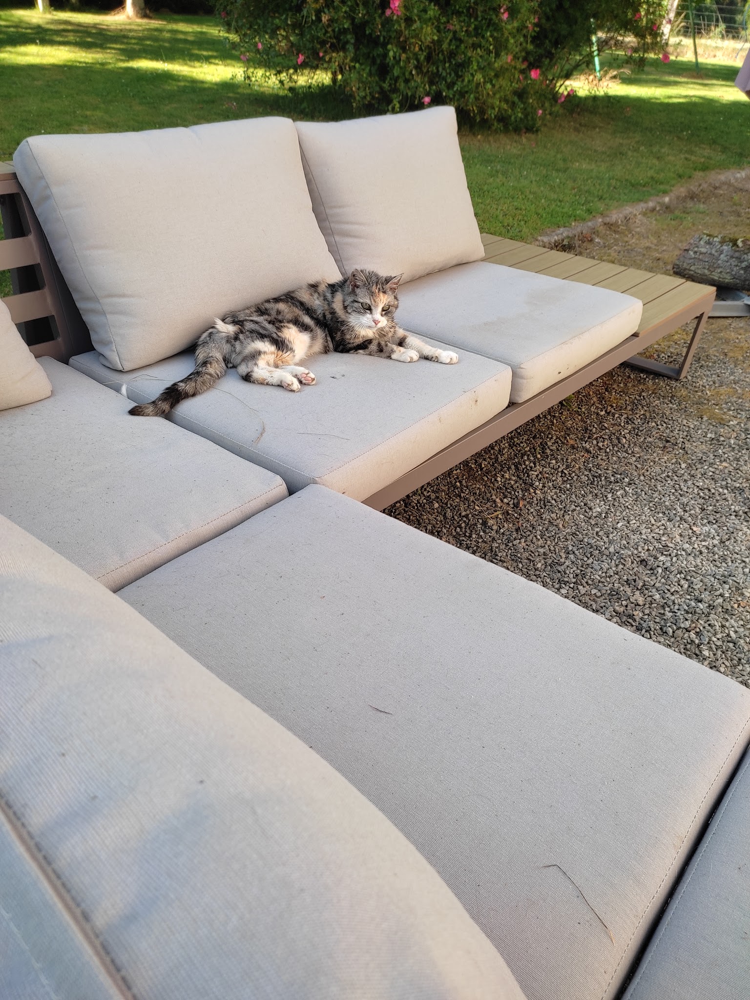 Les Pattes Sereines — photo