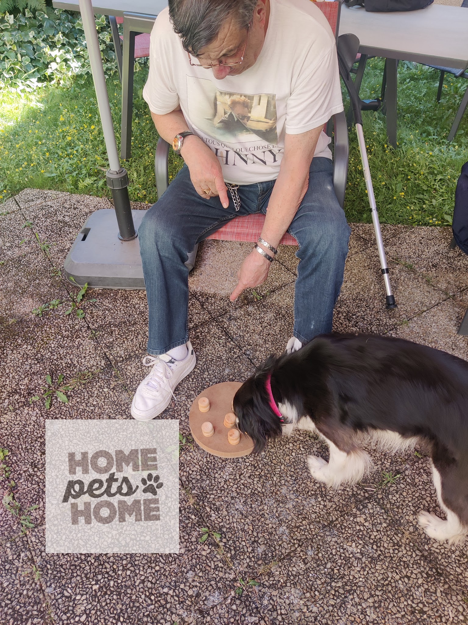 Home pets home — photo