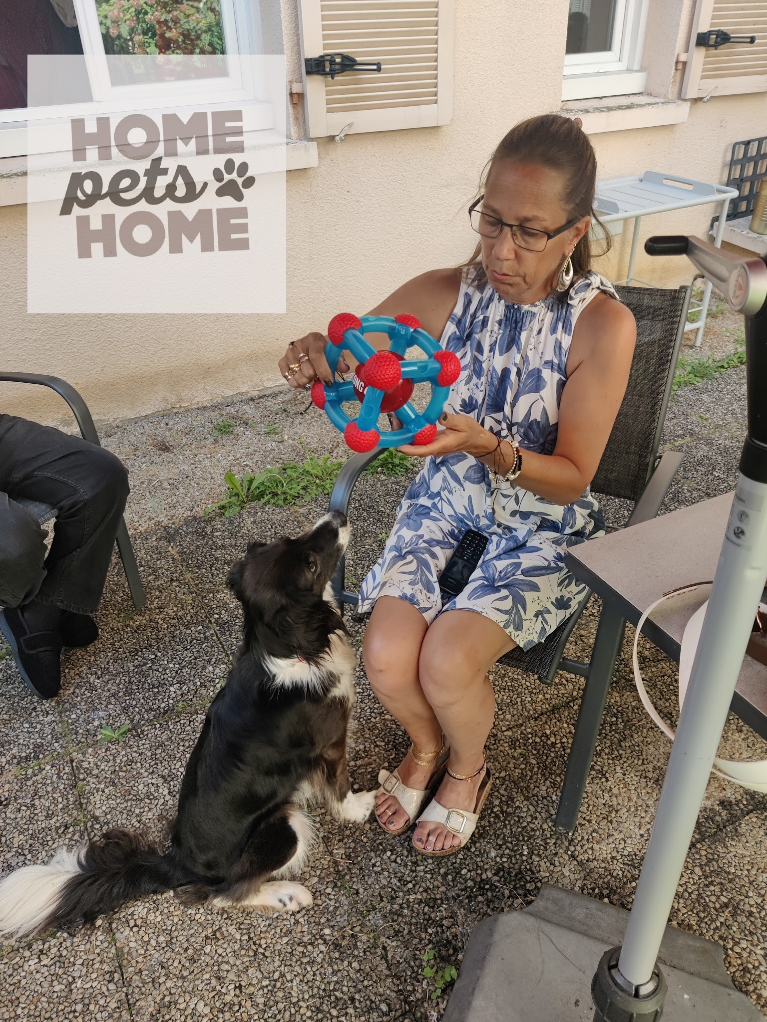 Home pets home — photo