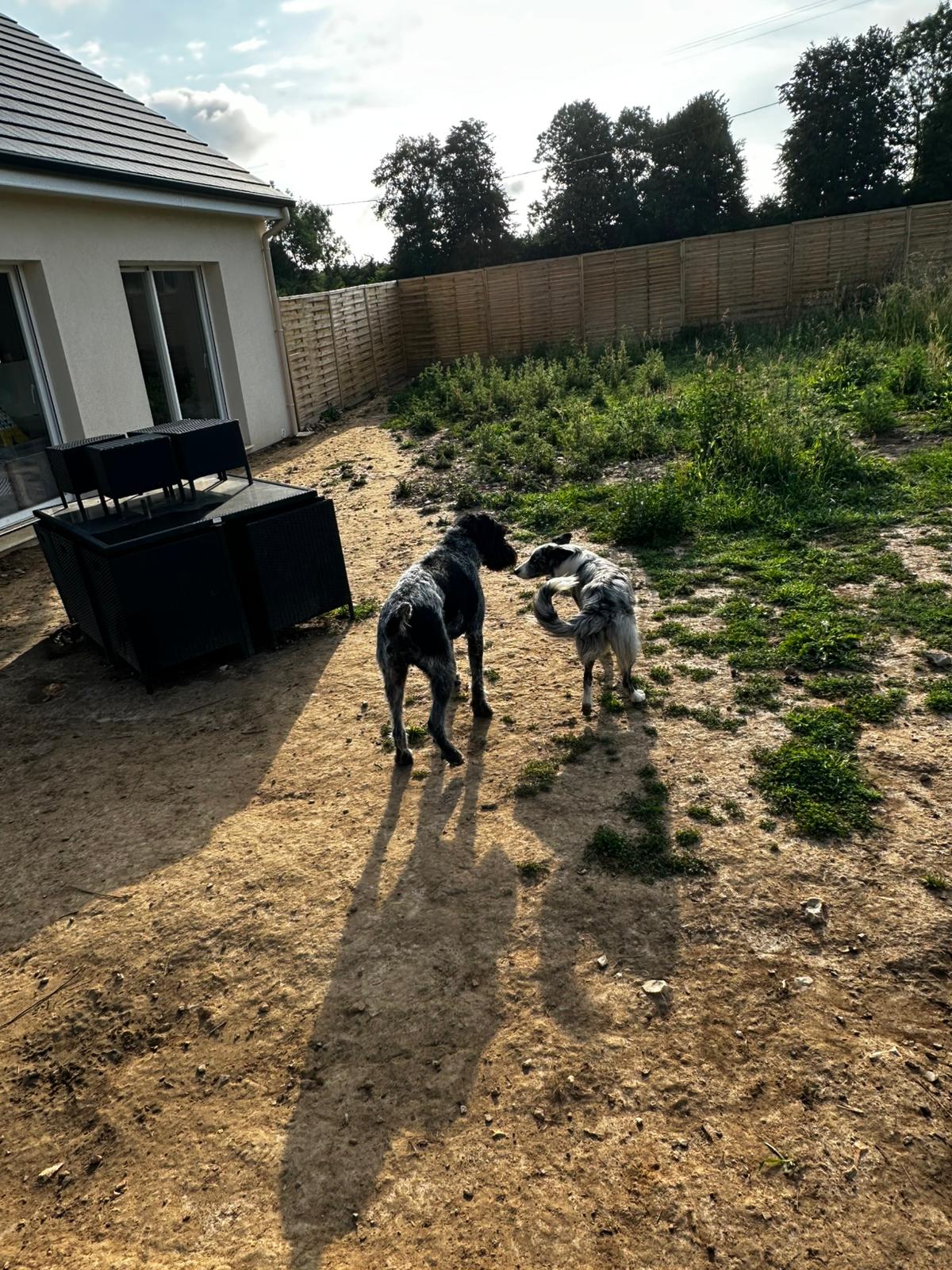 Le domaine de la Golden Griff’ — photo