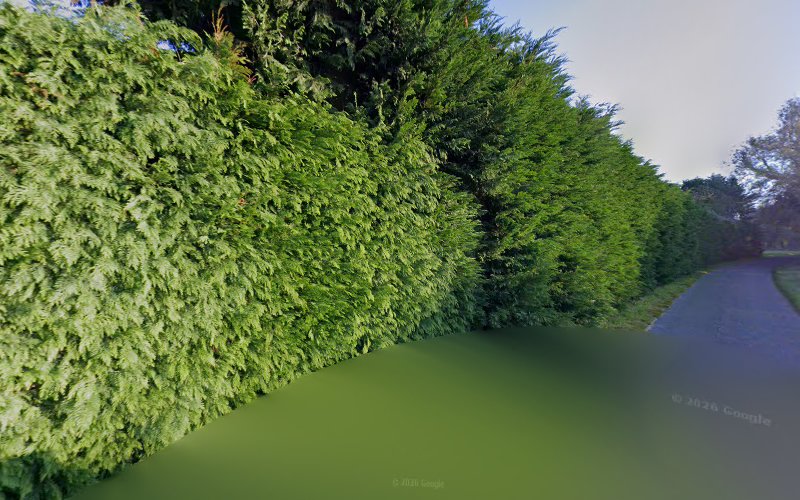 Pension Canine l'Arche de Noah