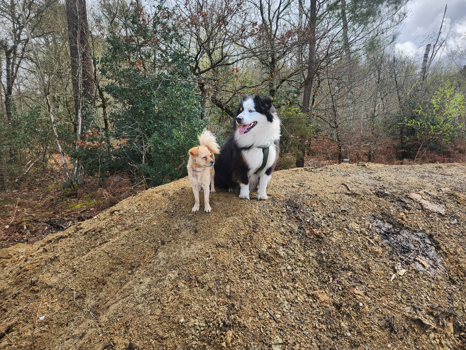 LE GITE CANIN — photo
