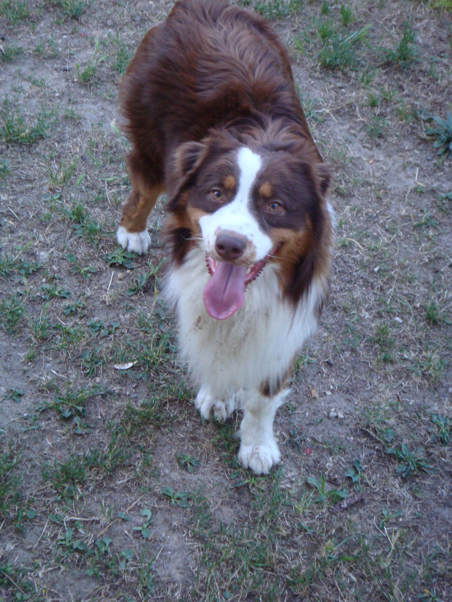 LE GITE CANIN — photo