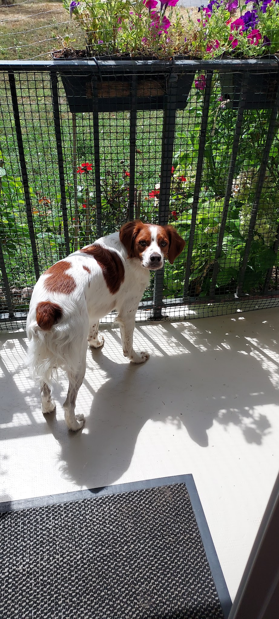 LE GITE CANIN