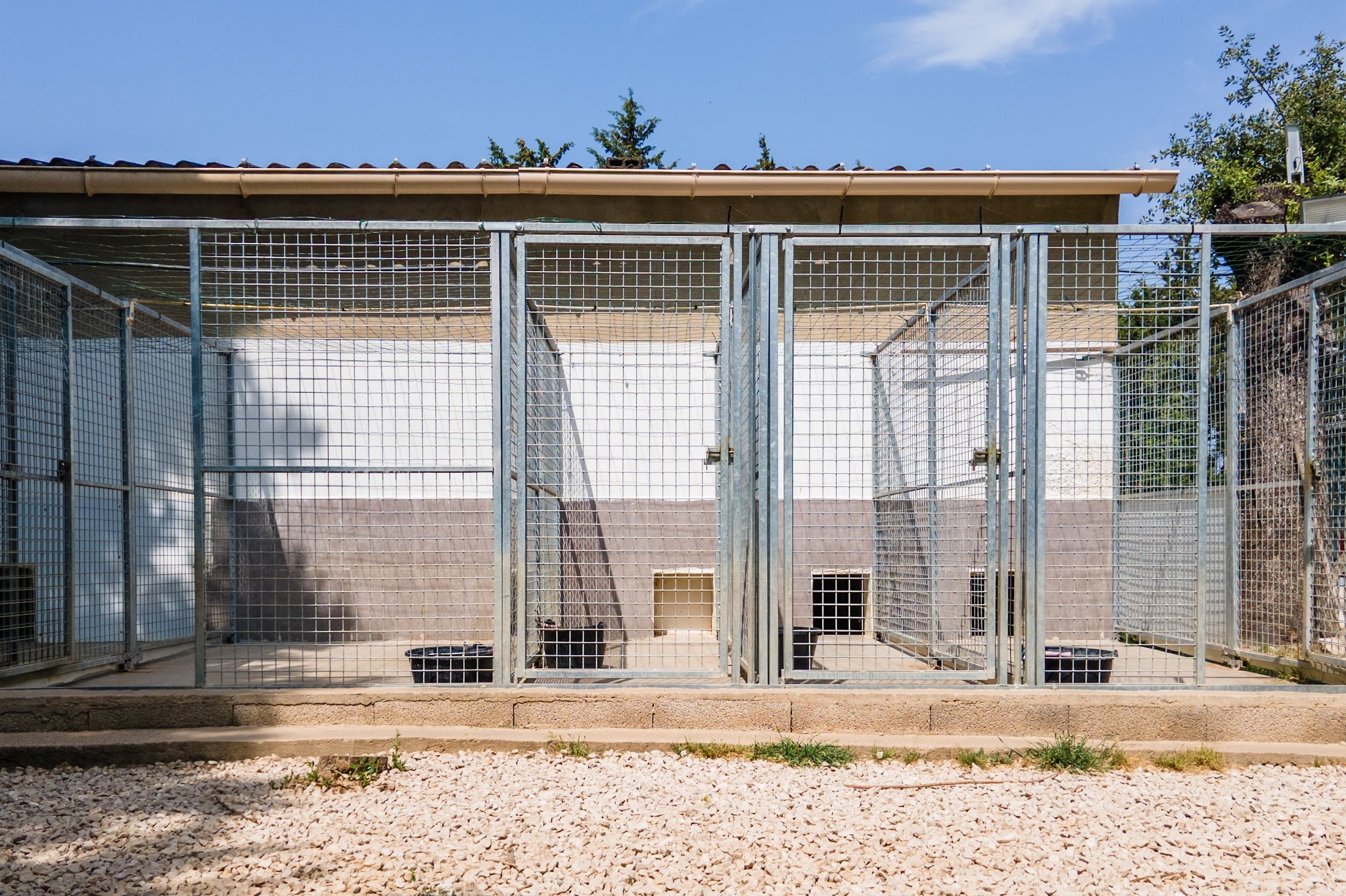 Pension Canine Eyragues