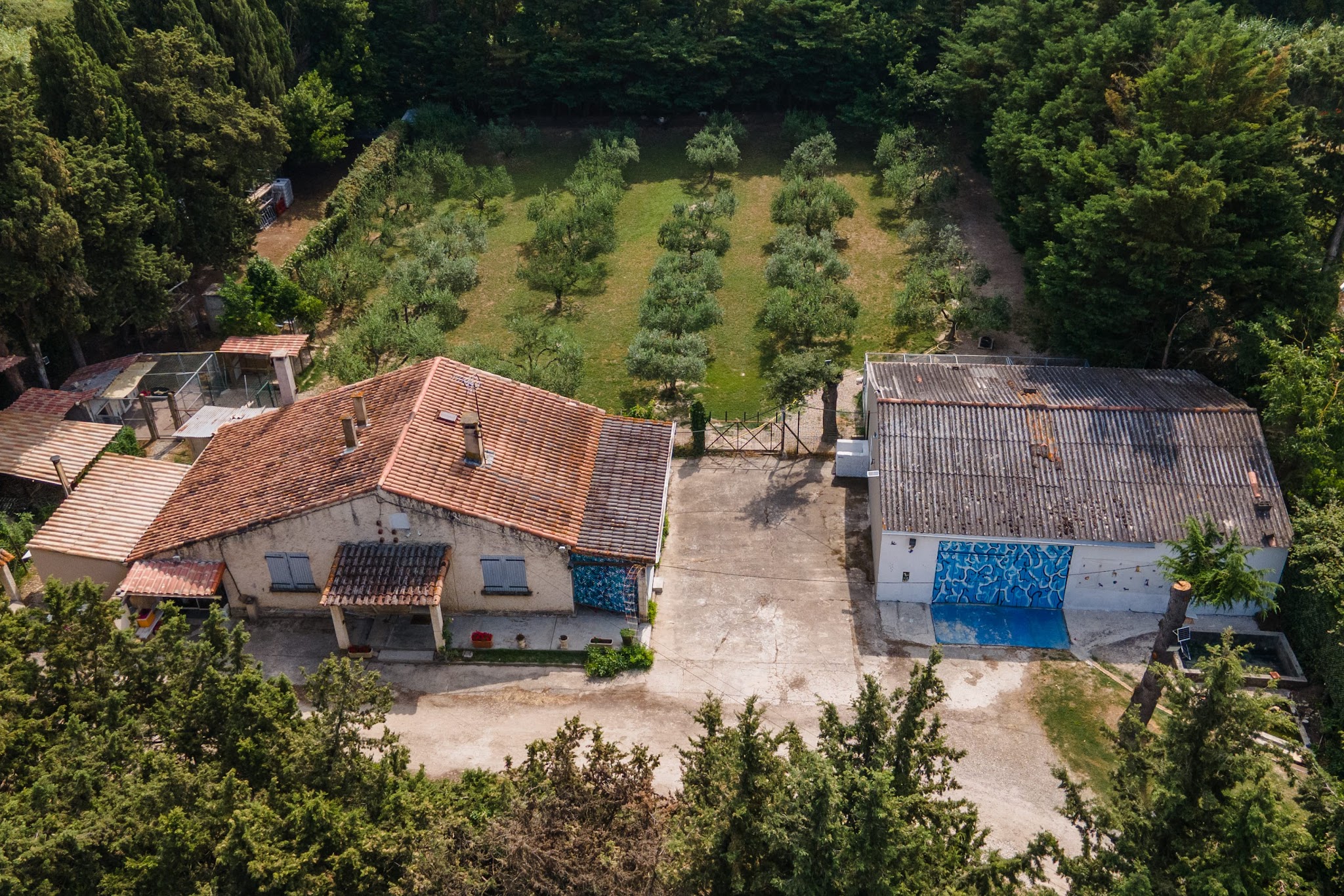 Pension Canine Eyragues — photo