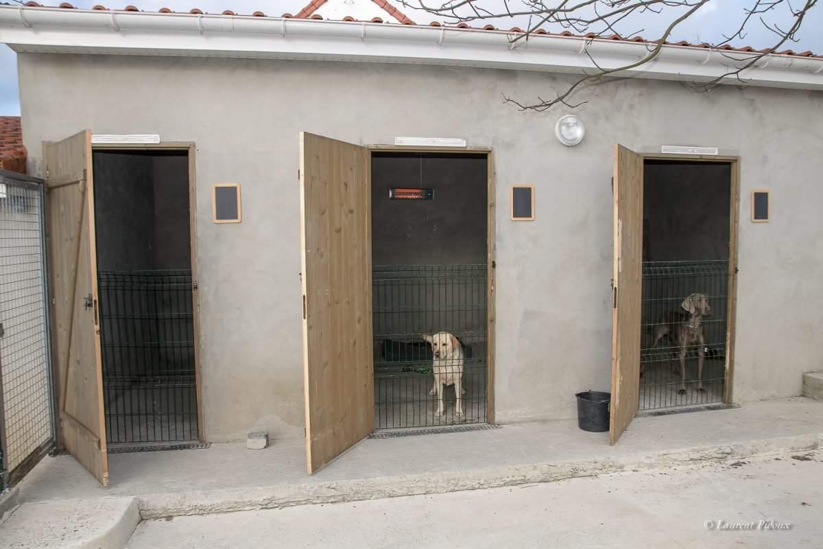 Peggy Bedu - Aux Bonheurs des Chiens - Toilettage & Pension & Education — photo