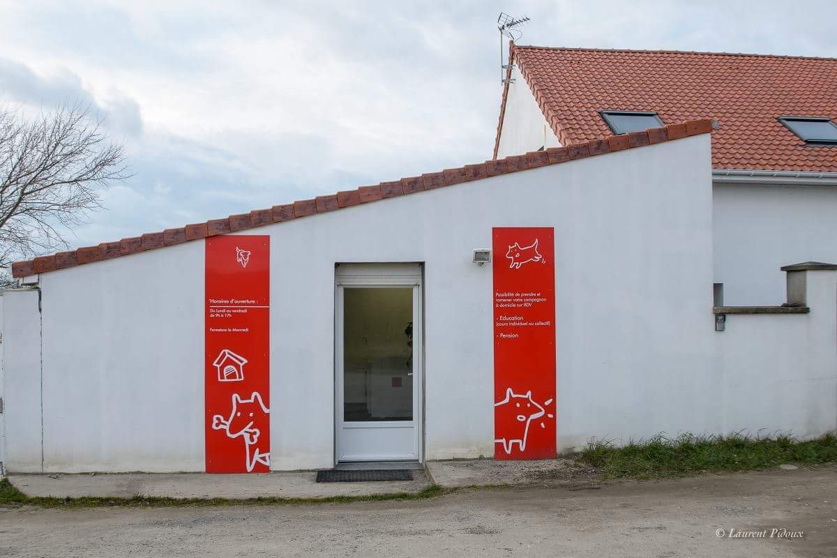 Peggy Bedu - Aux Bonheurs des Chiens - Toilettage & Pension & Education — photo