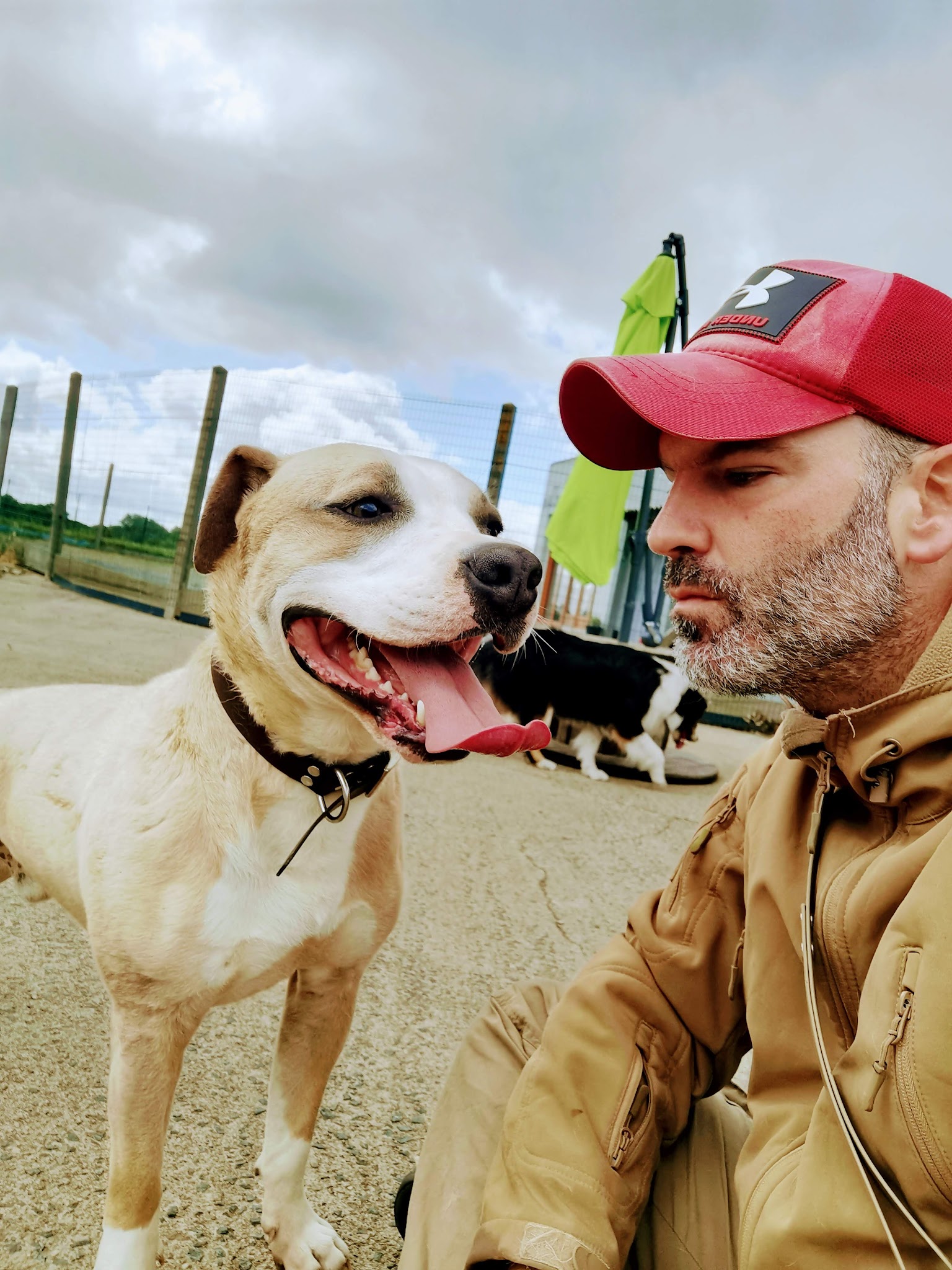 AUBERGE CANINE DE L'ÉDEN ANIMAL — photo