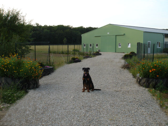Ferme - Pension Le 1000 Pattes — photo