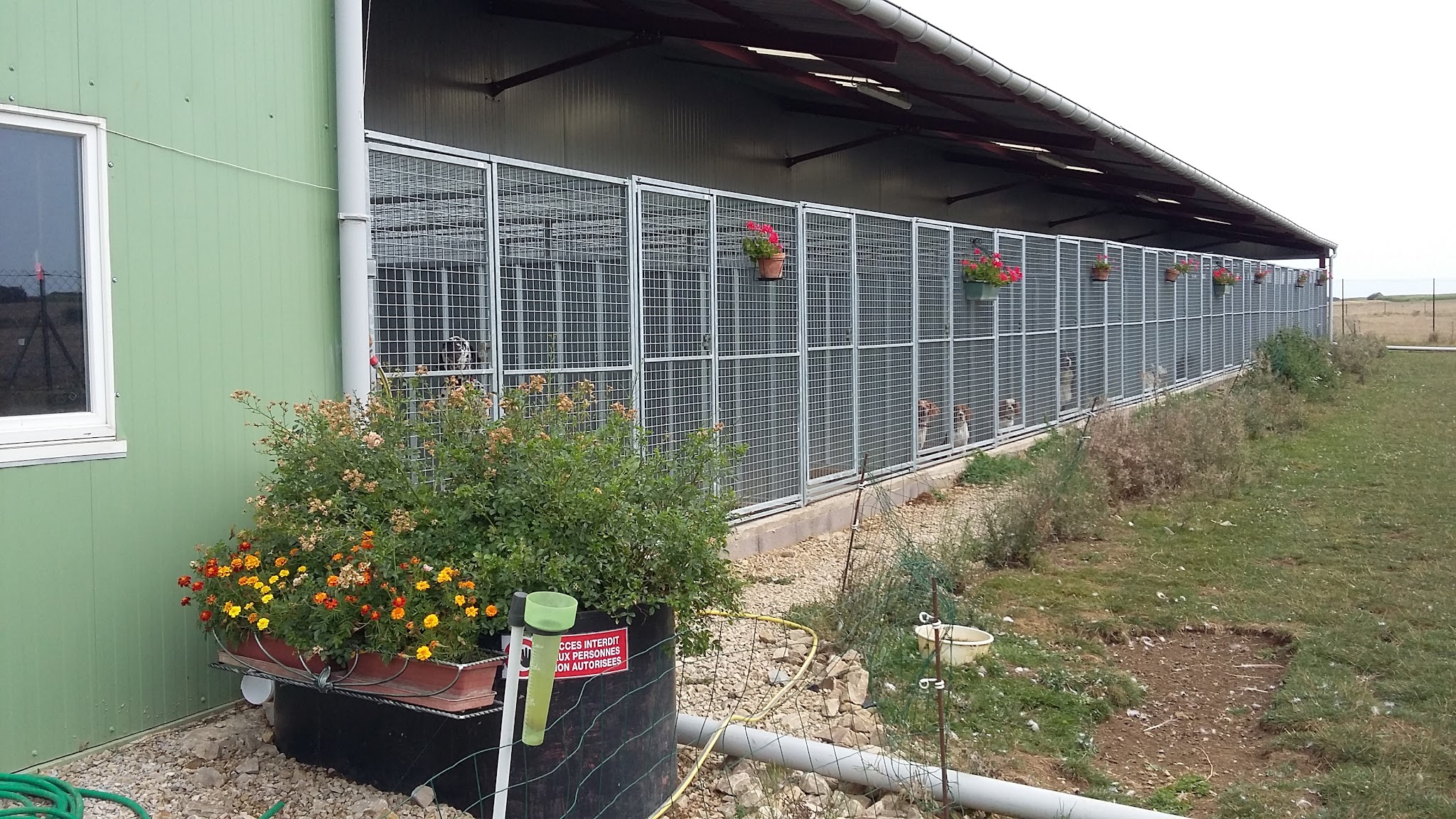Ferme - Pension Le 1000 Pattes — photo