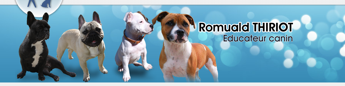 Educ'Services Romuald Thiriot - Pension canine Doubs