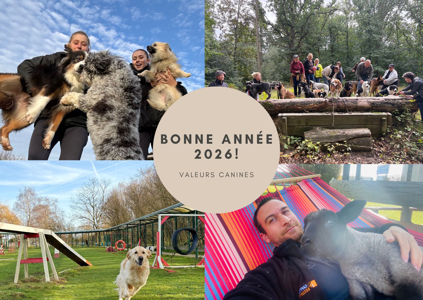 Valeurs Canines — photo