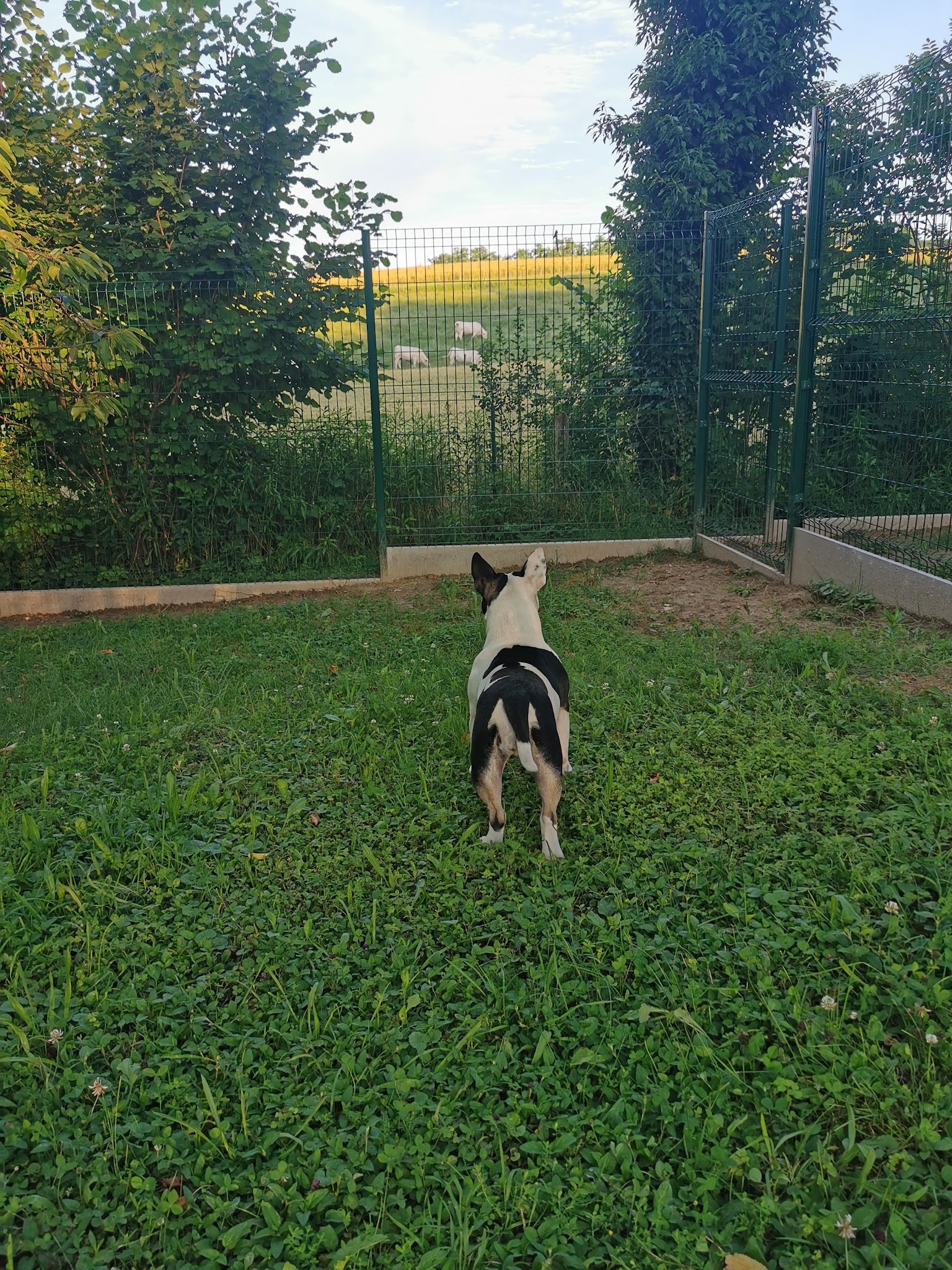 Le domaine de Pandora — photo