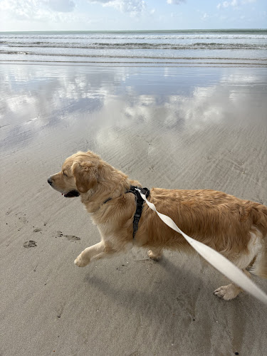 Pense-bête - Garde d’animaux Les Sables D’olonne