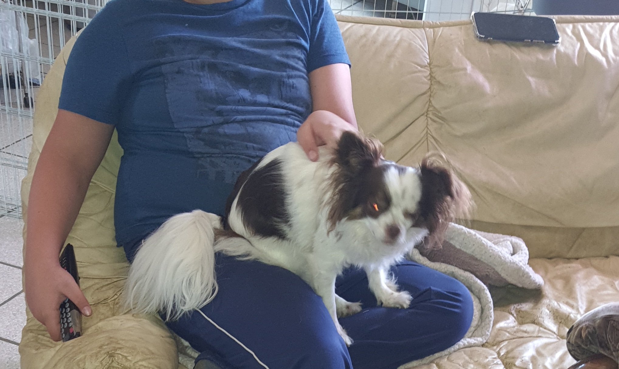Une Nounou pour mon chien — photo