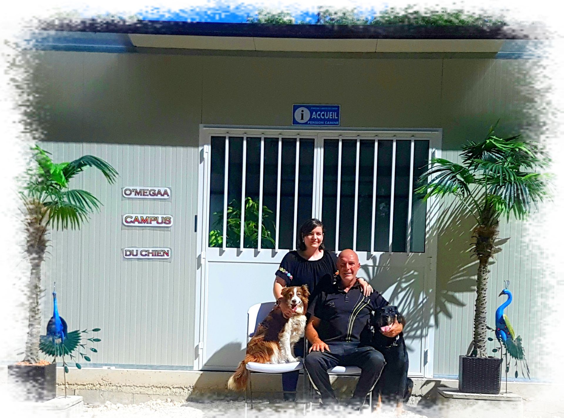 O'MEGAA CAMPUS DU CHIEN. Pension canine. Educateur canin. Comportementaliste — photo