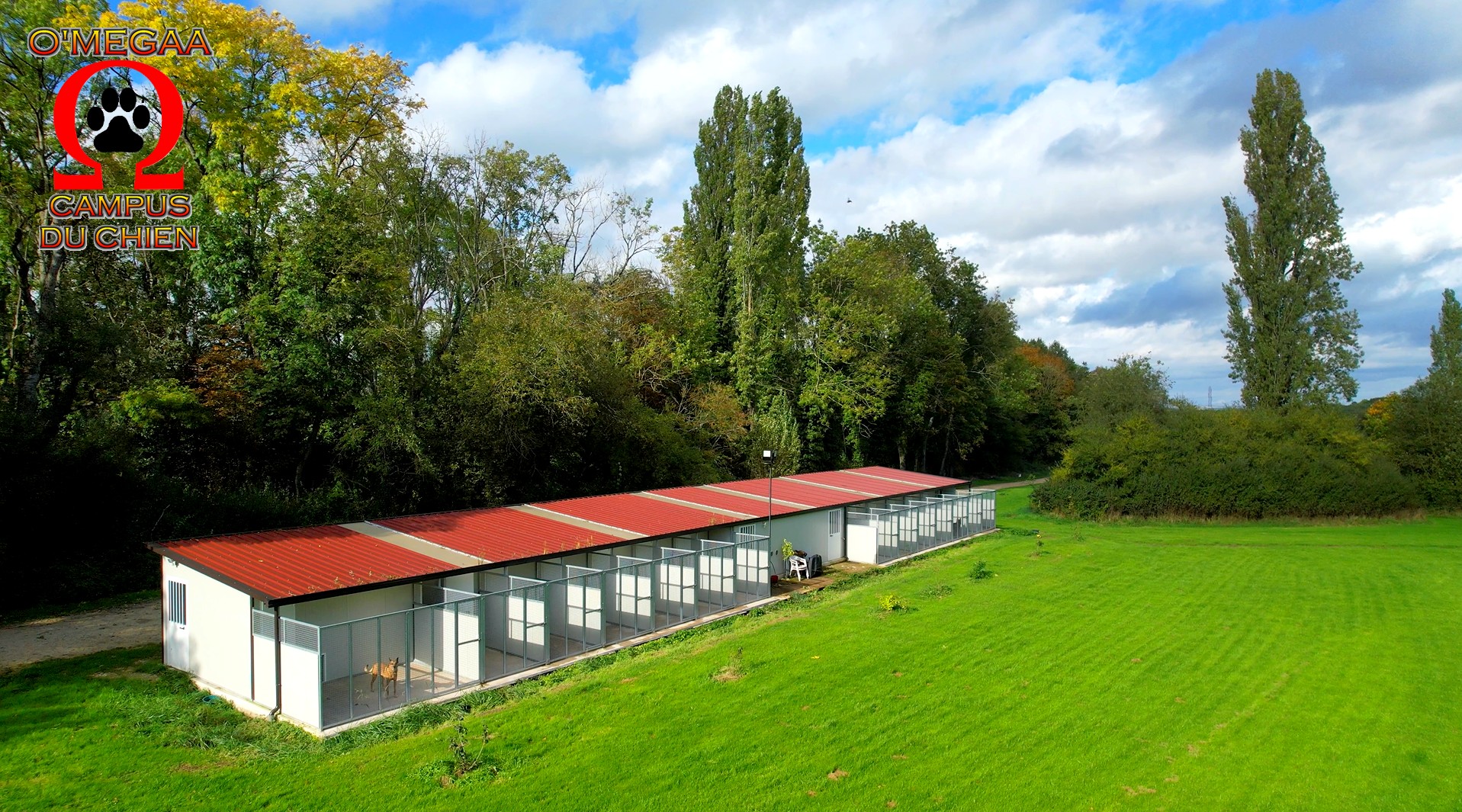 O'MEGAA CAMPUS DU CHIEN. Pension canine. Educateur canin. Comportementaliste