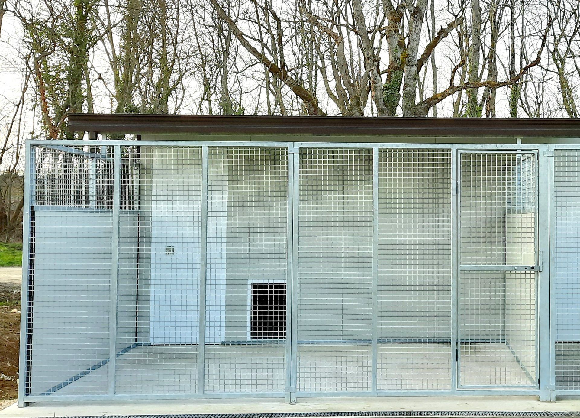 O'MEGAA CAMPUS DU CHIEN. Pension canine. Educateur canin. Comportementaliste — photo