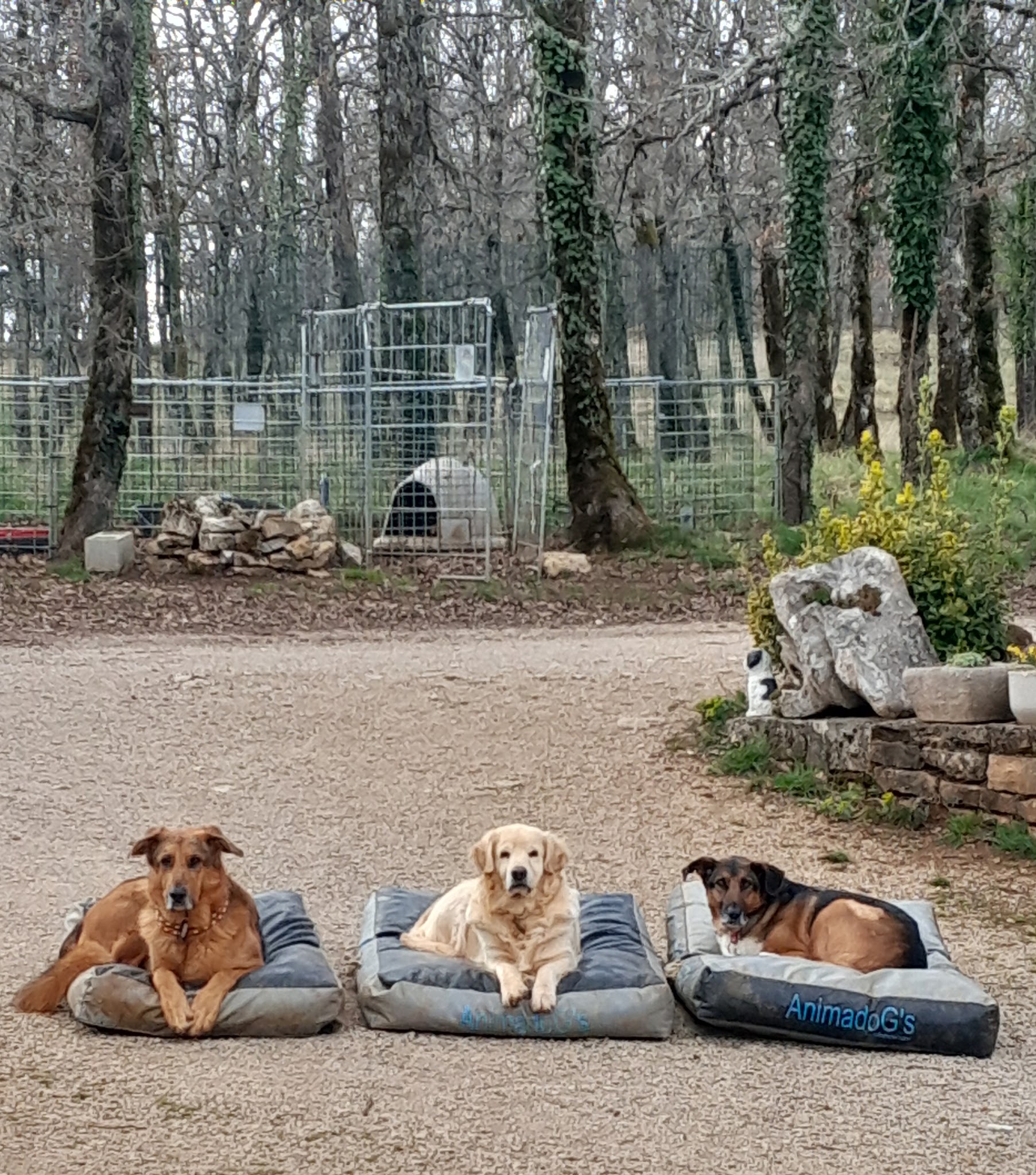 La villa d'Andréa — photo