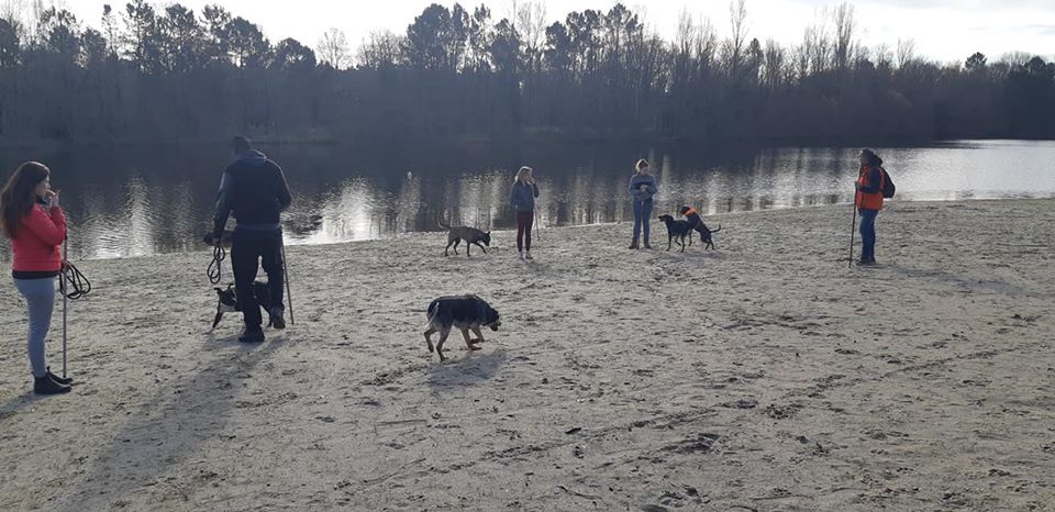 Educ'ilibre - Éducateur canin et comportementaliste — photo